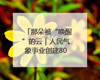 那朵被“唤醒”的云｜人民气象事业创建80周年印记