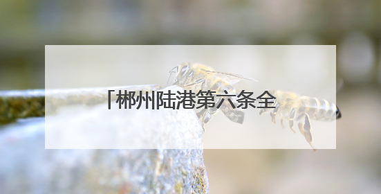 郴州陆港第六条全程提单线路开通 践行“区港联动” 实现“半日通关”