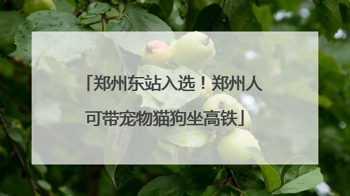 郑州东站入选！郑州人可带宠物猫狗坐高铁