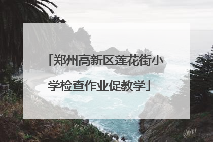 郑州高新区莲花街小学检查作业促教学
