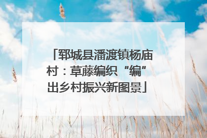 郓城县潘渡镇杨庙村：草藤编织“编”出乡村振兴新图景