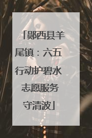 郧西县羊尾镇：六五行动护碧水 志愿服务守清波