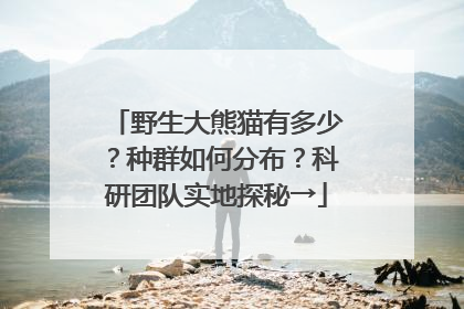 野生大熊猫有多少？种群如何分布？科研团队实地探秘→