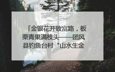 金银花开致富路，板栗青果满枝头——团风县钓鱼台村“山水生金”谱写共富新篇章