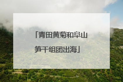 青田黄菊和阜山笋干组团出海