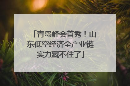 青岛峰会首秀！山东低空经济全产业链实力藏不住了
