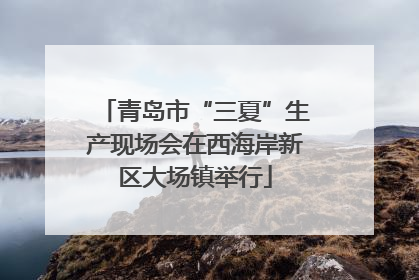 青岛市“三夏”生产现场会在西海岸新区大场镇举行