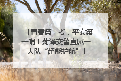 青春第一考，平安第一哨！菏泽交警直属一大队“超能护航”