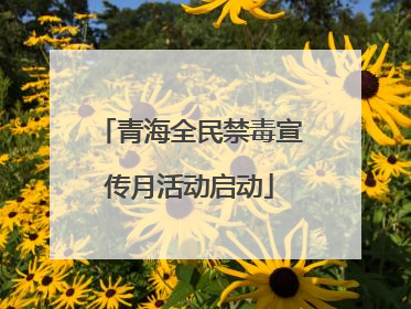 青海全民禁毒宣传月活动启动