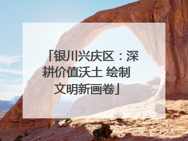 银川兴庆区：深耕价值沃土 绘制文明新画卷
