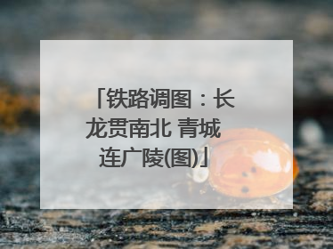 铁路调图：长龙贯南北 青城连广陵(图)
