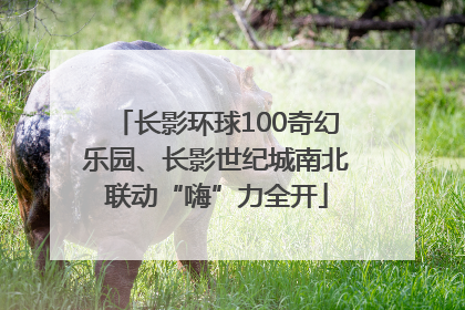 长影环球100奇幻乐园、长影世纪城南北联动“嗨”力全开