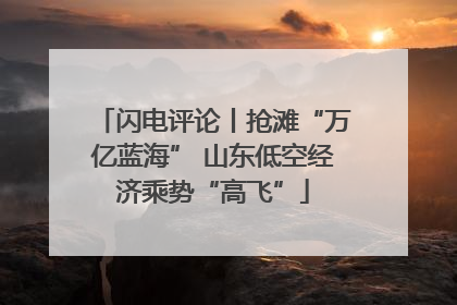 闪电评论丨抢滩“万亿蓝海” 山东低空经济乘势“高飞”