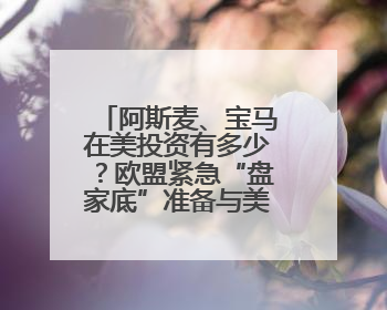 阿斯麦、宝马在美投资有多少？欧盟紧急“盘家底”准备与美谈判