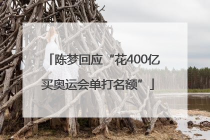 陈梦回应“花400亿买奥运会单打名额”