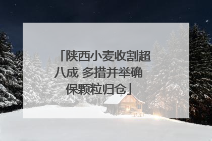 陕西小麦收割超八成 多措并举确保颗粒归仓