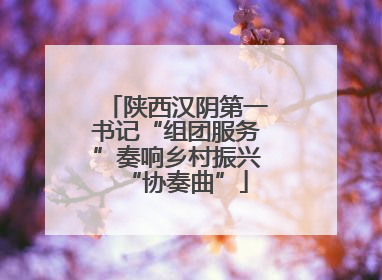 陕西汉阴第一书记“组团服务”奏响乡村振兴“协奏曲”