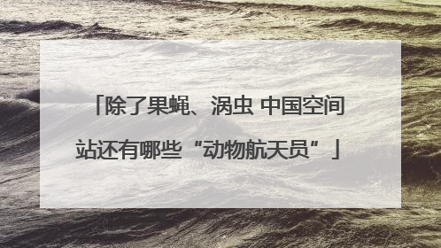 除了果蝇、涡虫 中国空间站还有哪些“动物航天员”