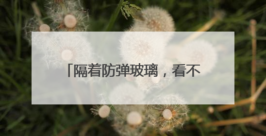 隔着防弹玻璃，看不见“美国再次伟大”
