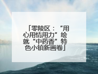 零陵区：“用心用情用力”绘就“中药香”特色小镇新画卷