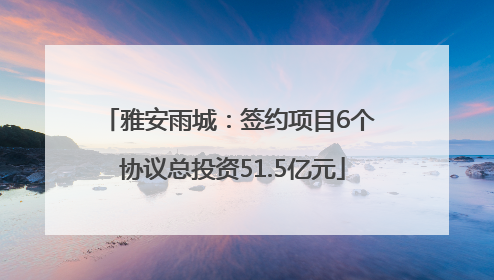 雅安雨城：签约项目6个 协议总投资51.5亿元