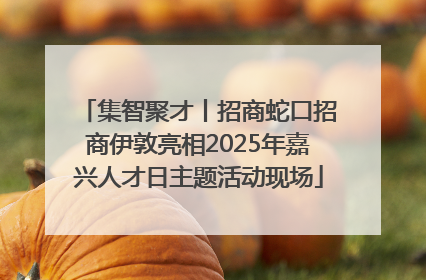 集智聚才丨招商蛇口招商伊敦亮相2025年嘉兴人才日主题活动现场