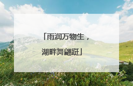 雨润万物生，湖畔舞翩跹