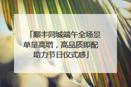 顺丰同城端午全场景单量高增，高品质即配助力节日仪式感