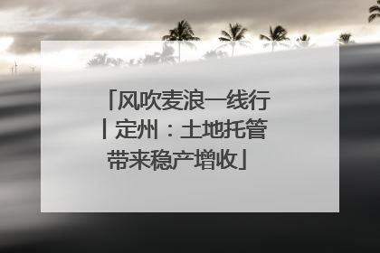 风吹麦浪一线行丨定州：土地托管带来稳产增收