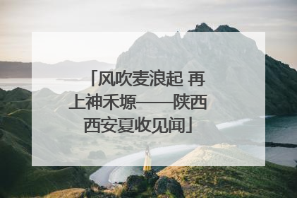 风吹麦浪起 再上神禾塬——陕西西安夏收见闻