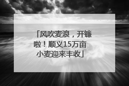 风吹麦浪，开镰啦！顺义15万亩小麦迎来丰收