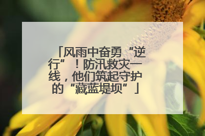 风雨中奋勇“逆行”！防汛救灾一线，他们筑起守护的“藏蓝堤坝”