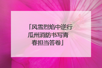 风雪烈焰中逆行 瓜州消防书写青春担当答卷