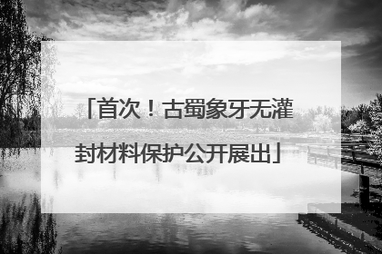 首次！古蜀象牙无灌封材料保护公开展出