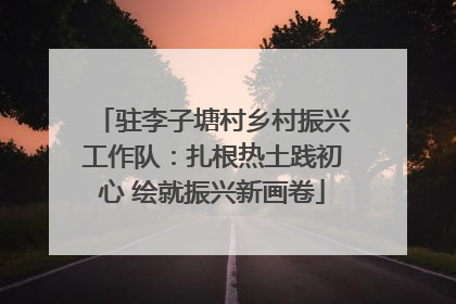 驻李子塘村乡村振兴工作队：扎根热土践初心 绘就振兴新画卷