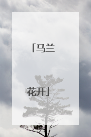 马兰花开