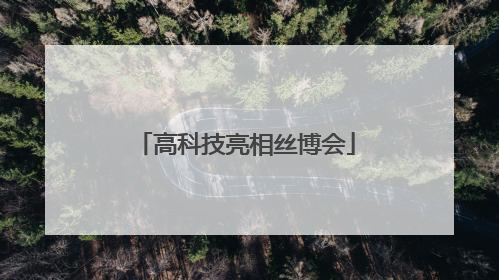 高科技亮相丝博会