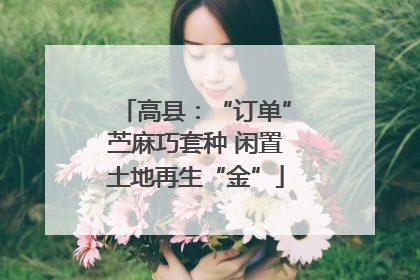 高县：“订单”苎麻巧套种 闲置土地再生“金”