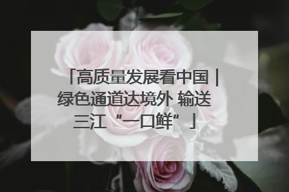 高质量发展看中国｜绿色通道达境外 输送三江“一口鲜”