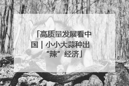 高质量发展看中国｜小小大蒜种出“辣”经济