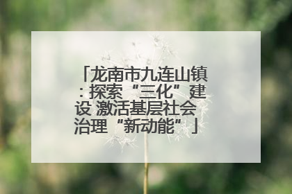 龙南市九连山镇：探索“三化”建设 激活基层社会治理“新动能”