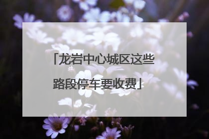 龙岩中心城区这些路段停车要收费