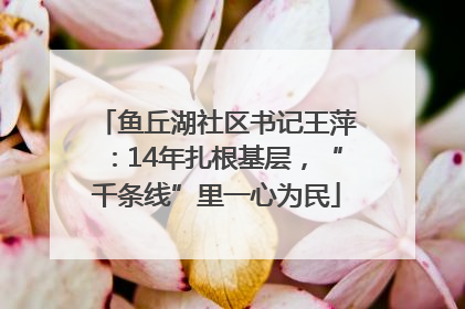 鱼丘湖社区书记王萍：14年扎根基层，“千条线”里一心为民