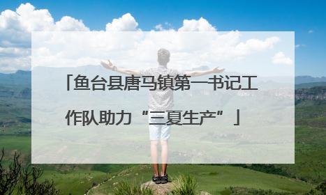 鱼台县唐马镇第一书记工作队助力“三夏生产”