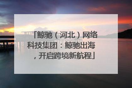 鲸驰（河北）网络科技集团：鲸驰出海，开启跨境新航程