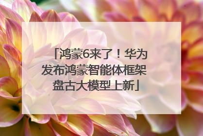 鸿蒙6来了！华为发布鸿蒙智能体框架 盘古大模型上新