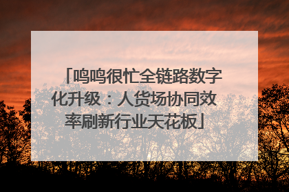 鸣鸣很忙全链路数字化升级：人货场协同效率刷新行业天花板