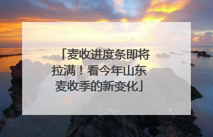 麦收进度条即将拉满！看今年山东麦收季的新变化