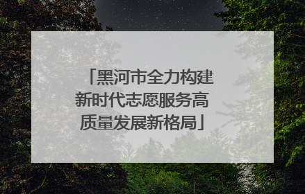 黑河市全力构建新时代志愿服务高质量发展新格局