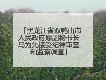 黑龙江省双鸭山市人民政府原副秘书长马为先接受纪律审查和监察调查